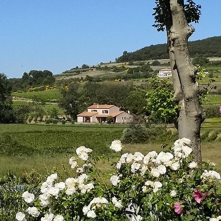 Domaine De Peilhan Roujan Esterno foto