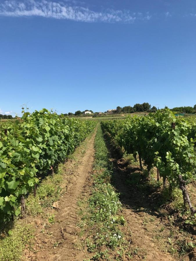 Domaine De Peilhan Roujan Esterno foto