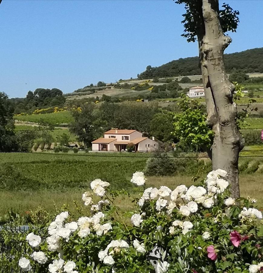 Domaine De Peilhan Roujan Esterno foto
