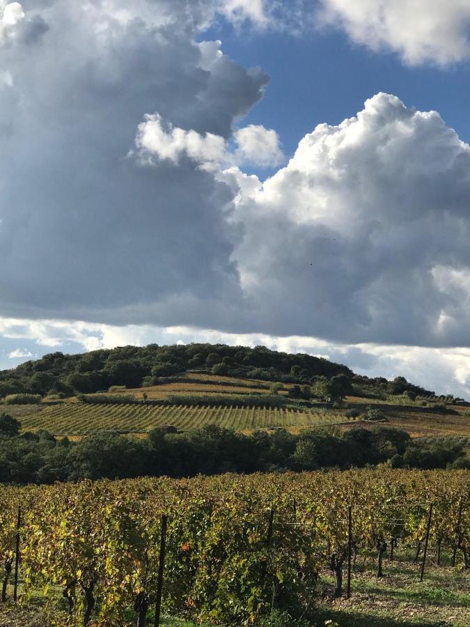 Domaine De Peilhan Roujan Esterno foto