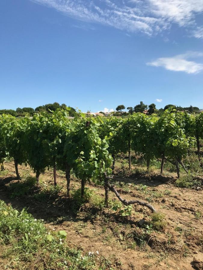 Domaine De Peilhan Roujan Esterno foto