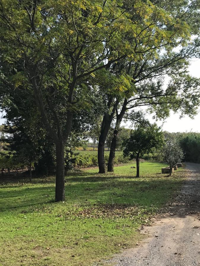 Domaine De Peilhan Roujan Esterno foto
