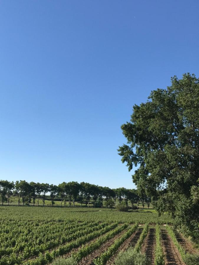 Domaine De Peilhan Roujan Esterno foto