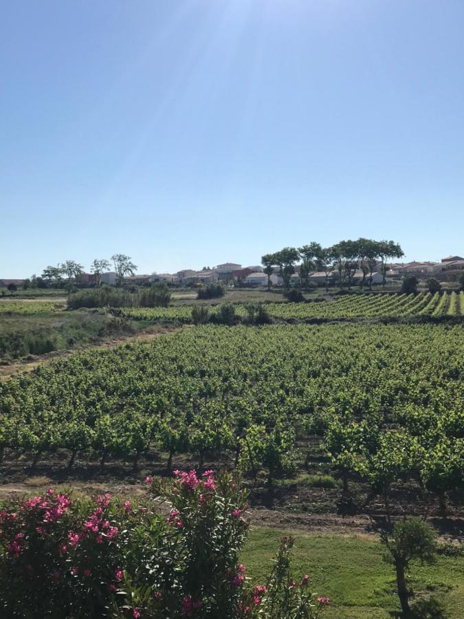 Domaine De Peilhan Roujan Esterno foto